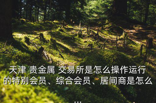 天津 貴金屬 交易所是怎么操作運(yùn)行的特別會(huì)員、綜合會(huì)員、居間商是怎么...