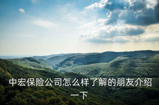中宏理財(cái)怎么樣,中宏保險(xiǎn)獲金理財(cái)最具潛力保險(xiǎn)公司獎