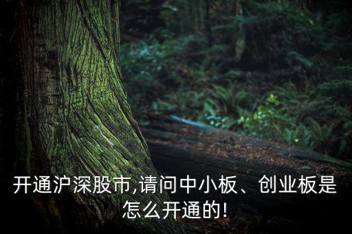開(kāi)通滬深股市,請(qǐng)問(wèn)中小板、創(chuàng)業(yè)板是怎么開(kāi)通的!