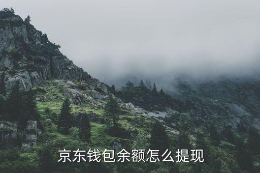 京東的錢(qián)怎么轉(zhuǎn)出來(lái),京東錢(qián)包賬戶余額可用于提現(xiàn)或轉(zhuǎn)賬