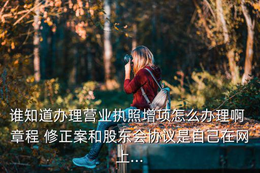 誰知道辦理營(yíng)業(yè)執(zhí)照增項(xiàng)怎么辦理啊 章程 修正案和股東會(huì)協(xié)議是自己在網(wǎng)上...