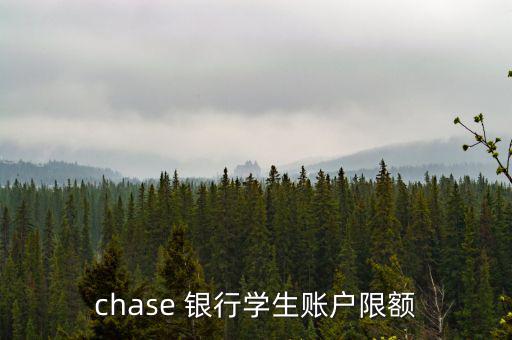 chase 銀行學生賬戶限額