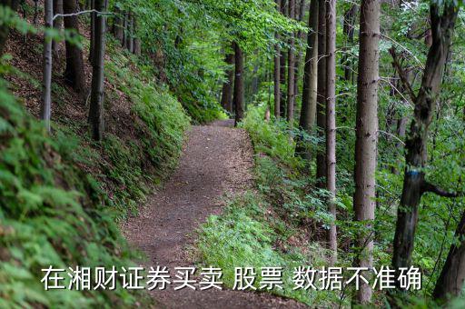 股票存盤數據出錯怎么辦,公開轉讓股票首先是證券交易所