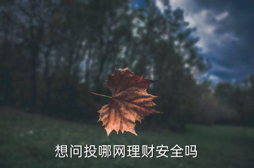 中銀粵財怎么樣,莉莉數(shù)碼集團(tuán)的六大重點
