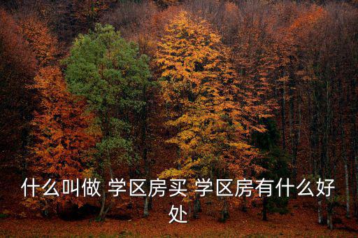 怎么投資學區(qū)房,買學區(qū)房好處多不好買什么?