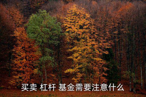 買(mǎi)賣(mài) 杠桿 基金需要注意什么
