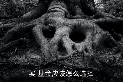 買(mǎi) 基金應(yīng)該怎么選擇