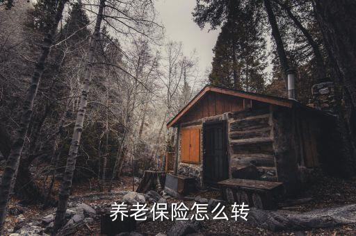怎么遷移養(yǎng)老保險(xiǎn),社會(huì)保險(xiǎn)車(chē)內(nèi)轉(zhuǎn)移和跨省轉(zhuǎn)移的流程