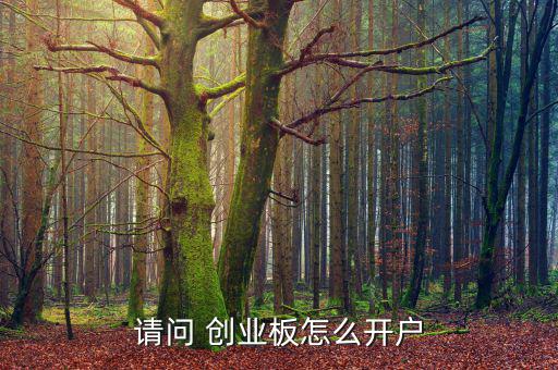 請(qǐng)問 創(chuàng)業(yè)板怎么開戶