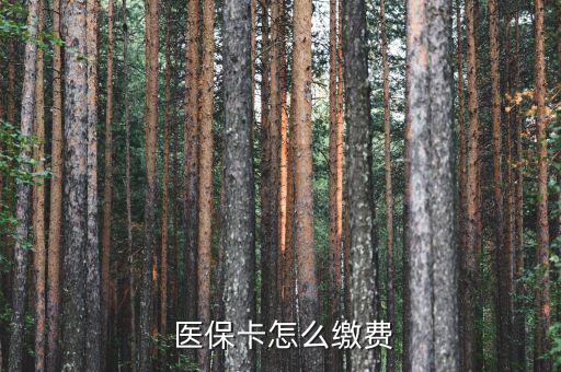  醫(yī)?？ㄔ趺蠢U費(fèi)