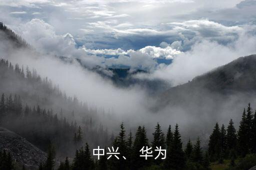  中興、 華為