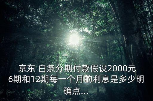  京東 白條分期付款假設(shè)2000元6期和12期每一個(gè)月的利息是多少明確點(diǎn)...