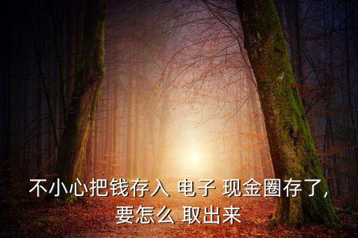 怎么把電子現(xiàn)金取出來,什么是電子現(xiàn)金?!