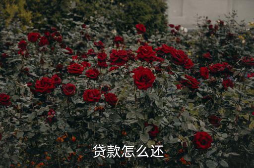 貸款怎么還合適,中國銀行推出等額本息、月均本金等還款方式