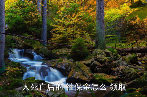 人死后社保怎么領(lǐng)取,如何使用社?？?!