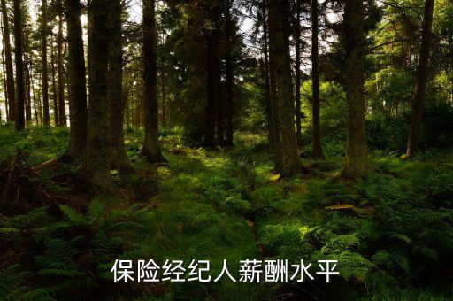 保險銷售工資怎么樣,保險不是人工智能產(chǎn)品