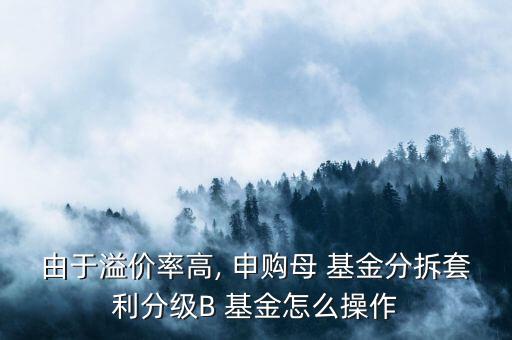 怎么申購(gòu)b基金,如何申購(gòu)和兌換新加坡母親基金?