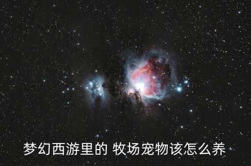 夢(mèng)幻西游里的 牧場(chǎng)寵物該怎么養(yǎng)