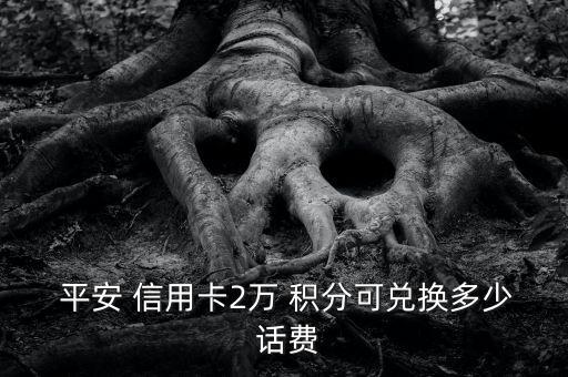  平安 信用卡2萬 積分可兌換多少 話費