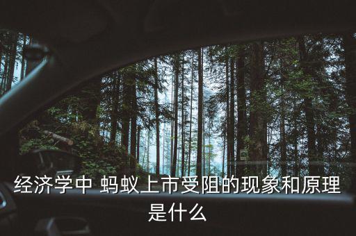 經(jīng)濟(jì)學(xué)中 螞蟻上市受阻的現(xiàn)象和原理是什么