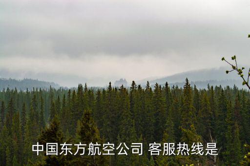 中國(guó)東方航空公司 客服熱線(xiàn)是