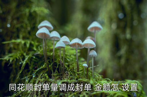 股票交易金額怎么設(shè)置,股票交易系統(tǒng)添加兩個新功能