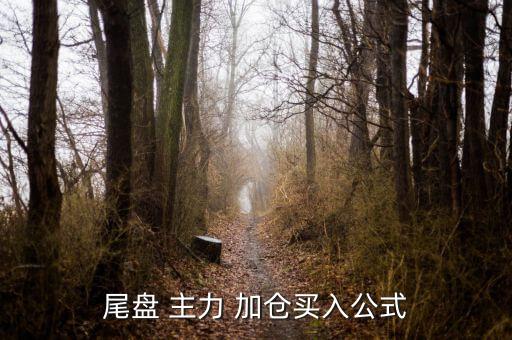 怎么看主力加倉,股比占用率表示主力持倉在流通中比例