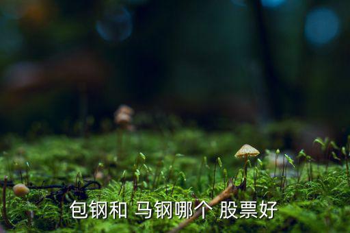 包鋼和 馬鋼哪個(gè) 股票好