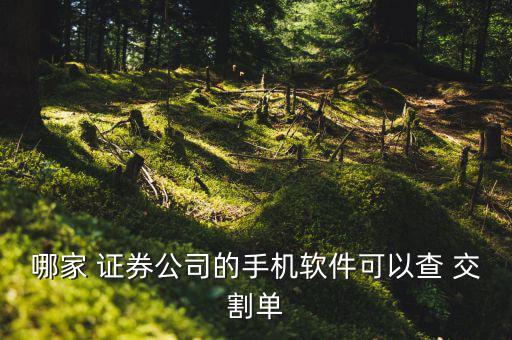 哪家 證券公司的手機(jī)軟件可以查 交割單