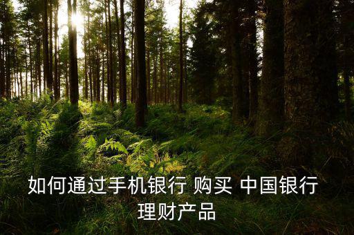如何通過(guò)手機(jī)銀行 購(gòu)買(mǎi) 中國(guó)銀行 理財(cái)產(chǎn)品