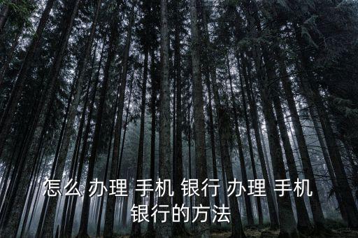 怎么 辦理 手機 銀行 辦理 手機 銀行的方法
