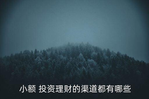  小額 投資理財(cái)?shù)那蓝加心男? class=