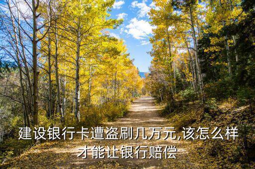  建設(shè)銀行卡遭盜刷幾萬(wàn)元,該怎么樣才能讓銀行賠償
