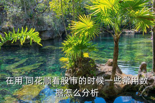 同花順怎么看委比,同花順app下載實(shí)時(shí)委托查看服務(wù)已完成