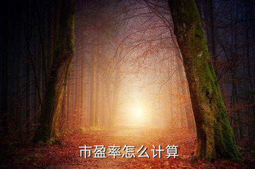 平均市盈率怎么算,市盈率如何接吻你好!