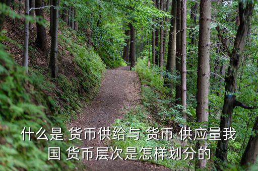 什么是 貨幣供給與 貨幣 供應(yīng)量我國 貨幣層次是怎樣劃分的