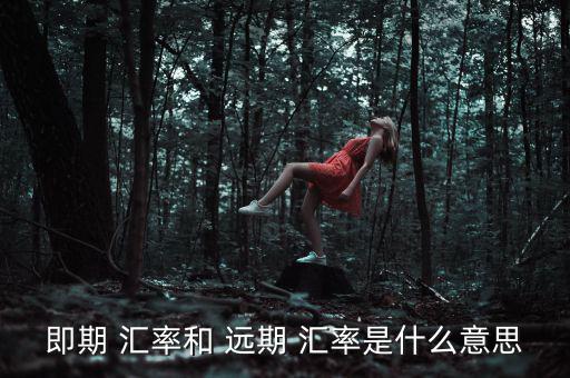 即期 匯率和 遠(yuǎn)期 匯率是什么意思