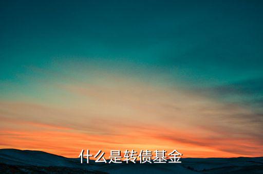 天治可轉(zhuǎn)債c怎么樣,可轉(zhuǎn)債利率和期限自由選擇