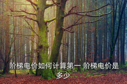 上海階梯電費怎么算,上海住宅用電電費怎么收費?