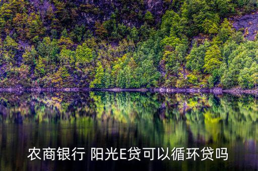 農(nóng)商銀行 陽光E貸可以循環(huán)貸嗎