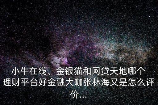 小牛在線、金銀貓和網(wǎng)貸天地哪個(gè) 理財(cái)平臺好金融大咖張林海又是怎么評價(jià)...