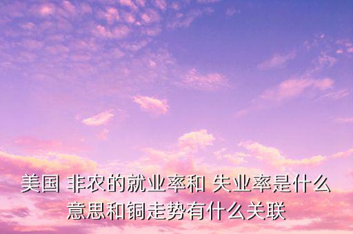 失業(yè)率和非農(nóng)數(shù)據(jù)背離怎么看,美國(guó)非農(nóng)就業(yè)人數(shù)與人口之比下滑