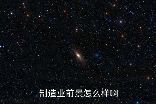  制造業(yè)前景怎么樣啊