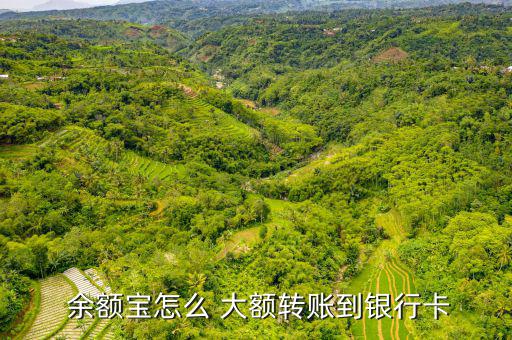 余額寶怎么大額轉入,轉賬限額從哪里開始?
