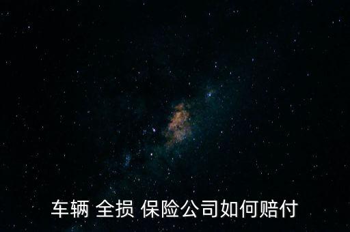車輛 全損 保險公司如何賠付