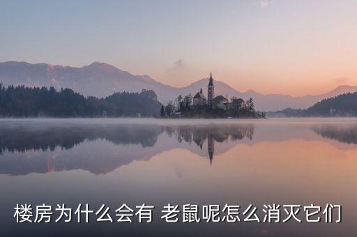 樓房為什么會(huì)有 老鼠呢怎么消滅它們