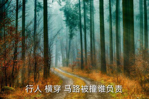 橫穿馬路被撞意外傷害險(xiǎn)怎么賠,行人行道橫道被撞車(chē)輛負(fù)全責(zé)