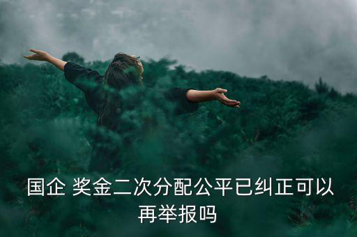國(guó)企亂發(fā)獎(jiǎng)金怎么處理,下列行為屬于違規(guī)發(fā)放津貼補(bǔ)貼
