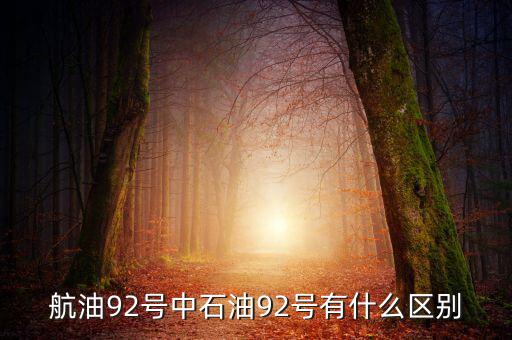 中航油的油怎么樣,中國石油天然氣股份有限公司:航油價格低
