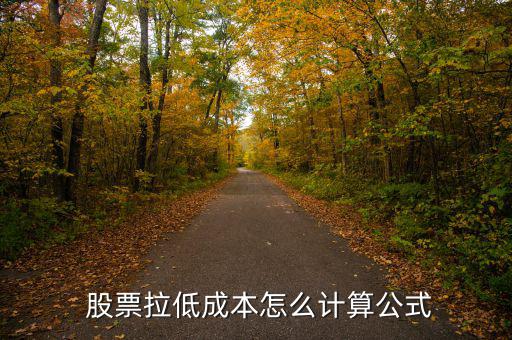  股票拉低成本怎么計算公式
